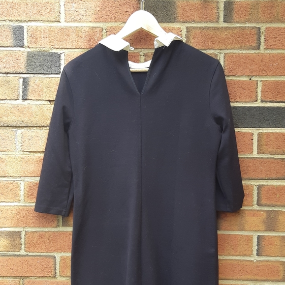 Lace collar mod Penguin dress - Picture 6 of 8